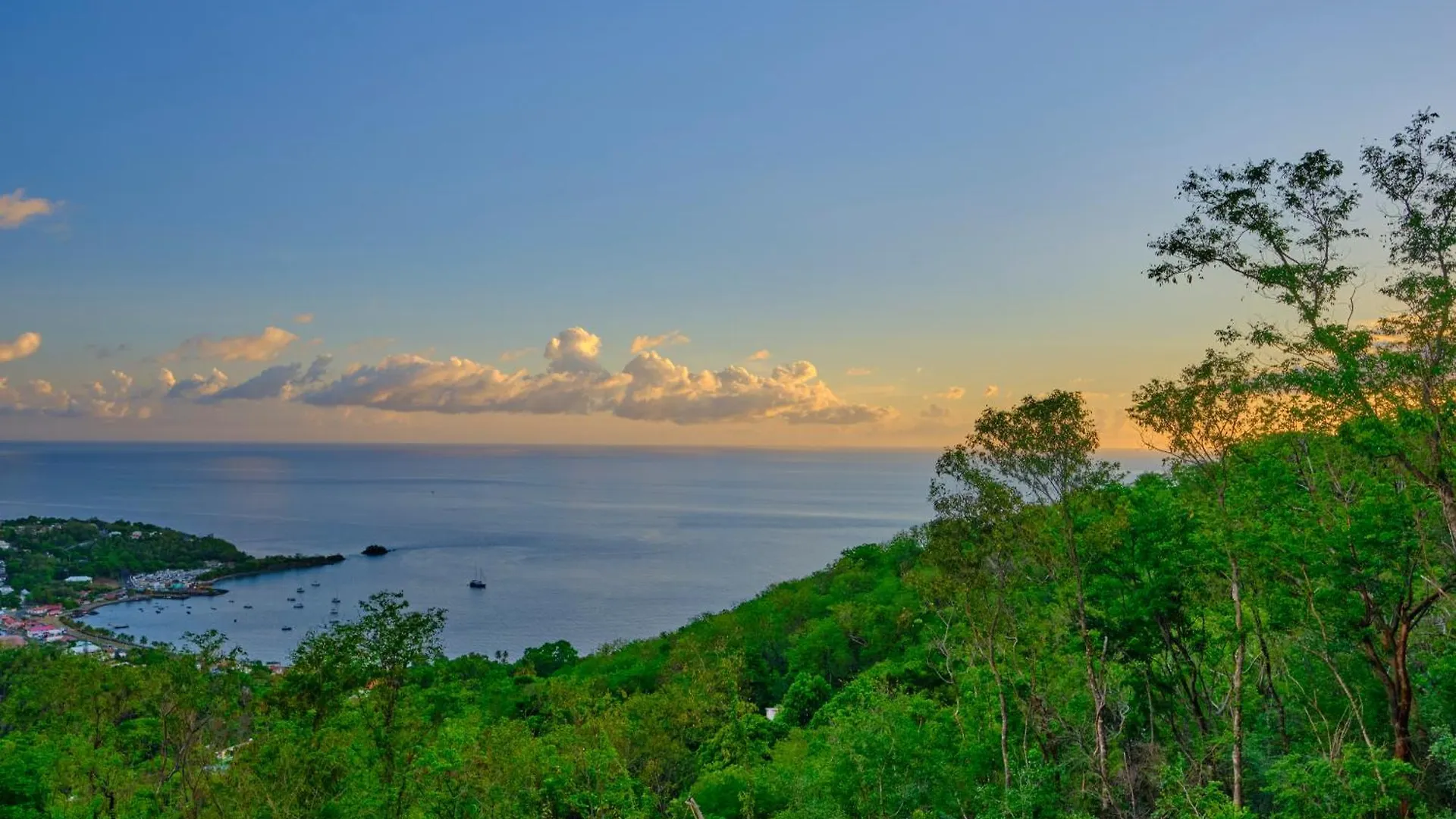 Colibri location